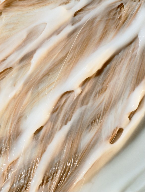 Featured image for “Fresh Conditioner, Citrus Cocktail”