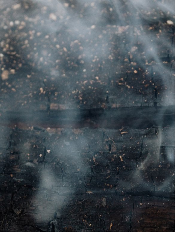 Featured image for “Gloss Conditioner, Smoky Green Vetiver”