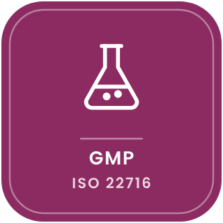 ISO 22716 GMP production