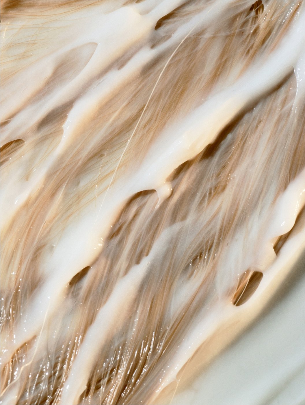 Featured image for “Keratin Volume Boost Conditioner”