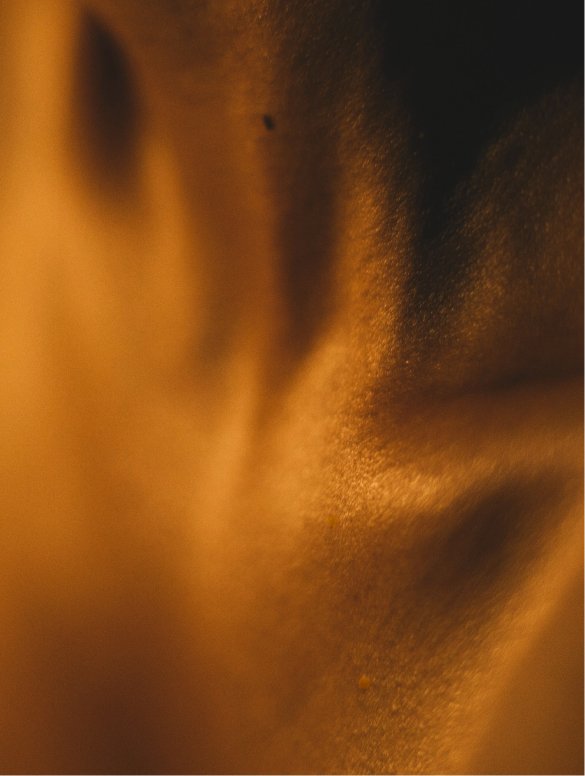 Featured image for “Silk Skin Body Serum, Spices & Sandalwood”